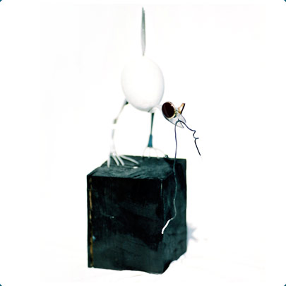 Fågel med mask © Bengt Ander